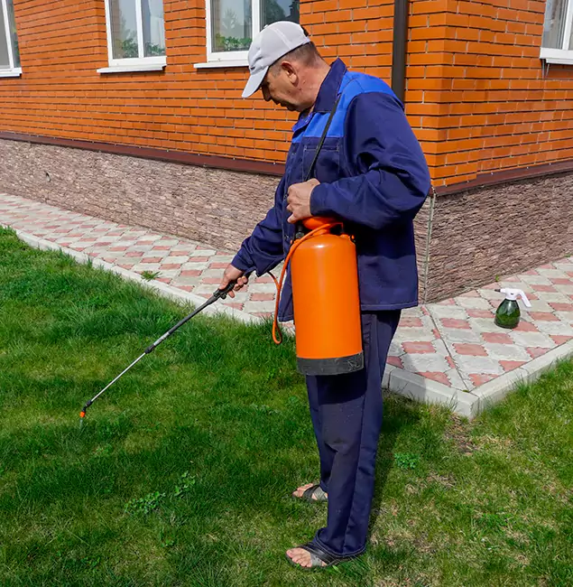 Why Choose Ann Arbor Pest Control Pros for Residential Pest Control in Ann Arbor, MI?