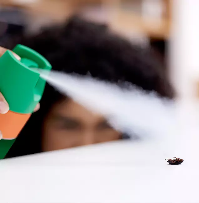 Why Ann Arbor, MI Homeowners Choose Ann Arbor Pest Control Pros for Roach Pest Control?