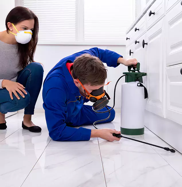 Why Choose Ann Arbor Pest Control Pros for Termite Inspection Cost in Ann Arbor, MI?