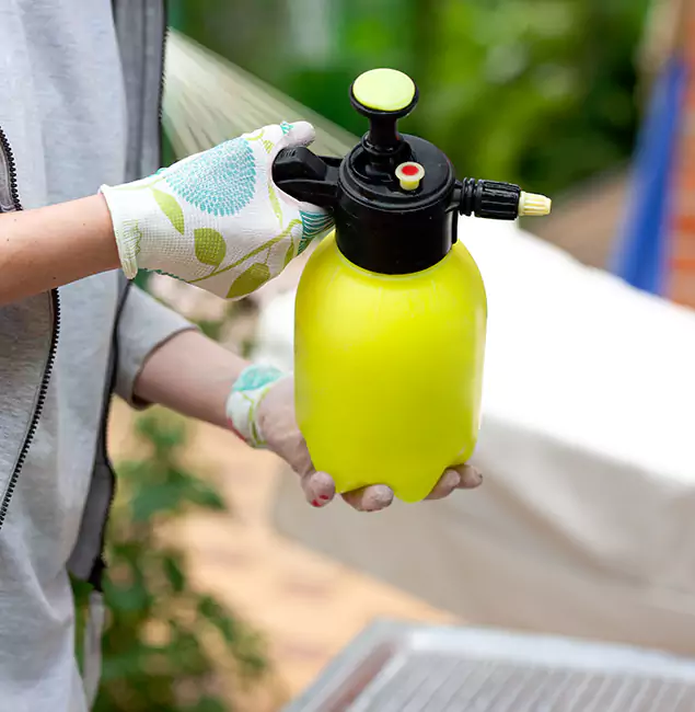 Why Choose Us: Ann Arbor Pest Control Pros Termite Spraying Experts in Ann Arbor, MI?
