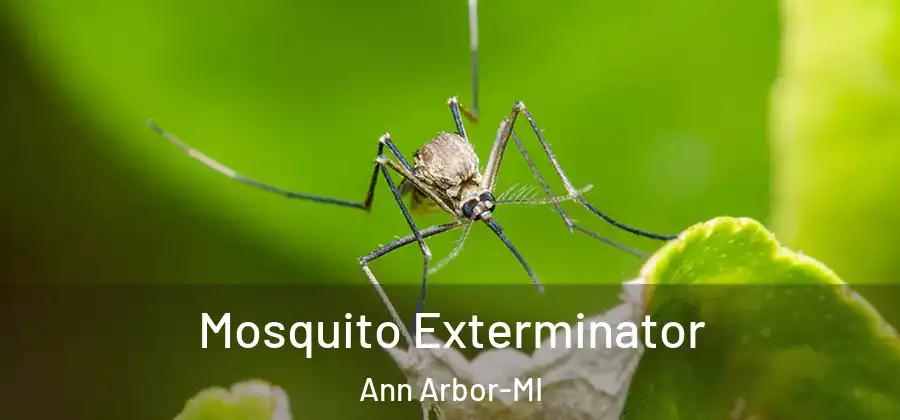Mosquito Exterminator Ann Arbor-MI
