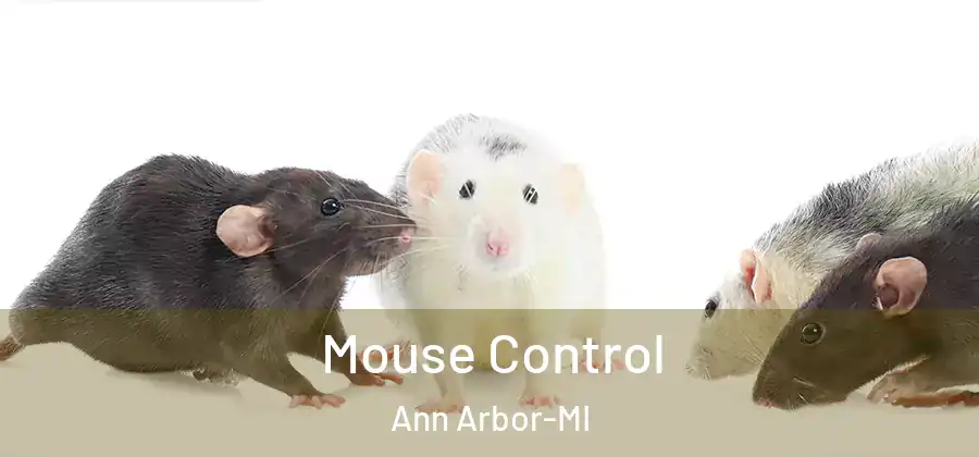  Mouse Control Ann Arbor-MI
