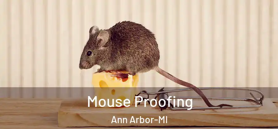  Mouse Proofing Ann Arbor-MI