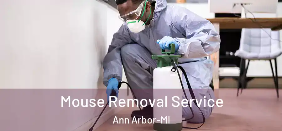 Mouse Removal Service Ann Arbor-MI