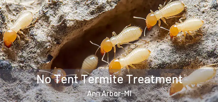  No Tent Termite Treatment Ann Arbor-MI