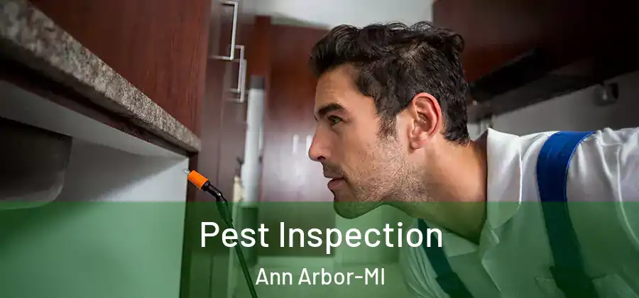  Pest Inspection Ann Arbor-MI