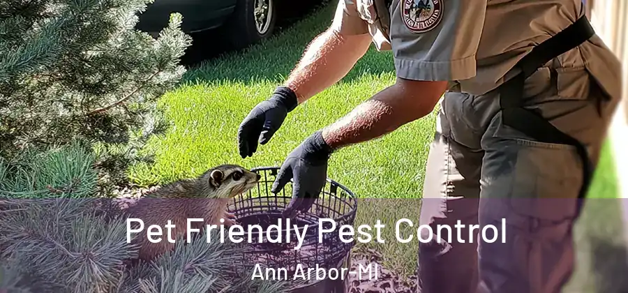 Pet Friendly Pest Control Ann Arbor-MI