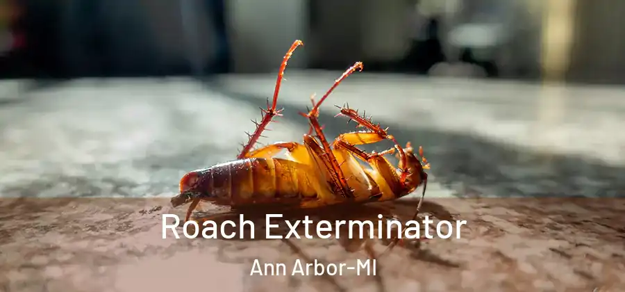  Roach Exterminator Ann Arbor-MI