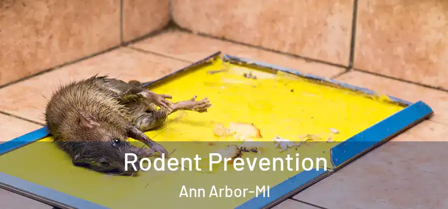 Rodent Prevention Ann Arbor-MI