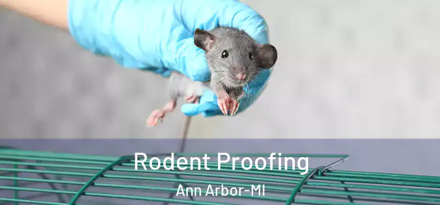  Rodent Proofing Ann Arbor-MI