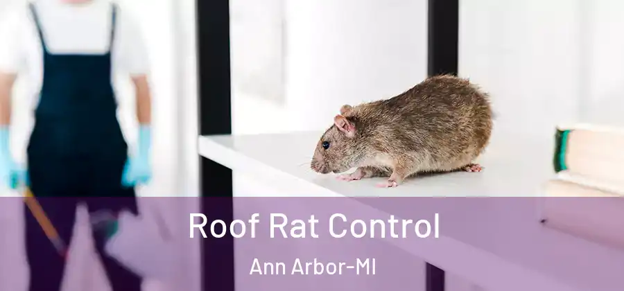  Roof Rat Control Ann Arbor-MI
