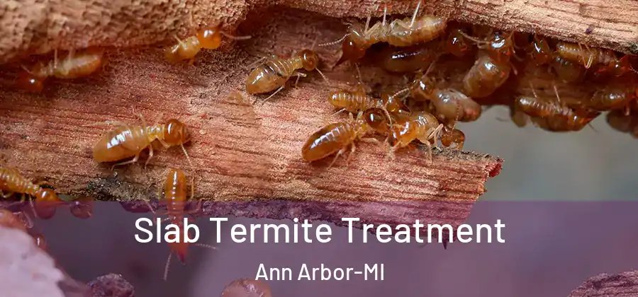  Slab Termite Treatment Ann Arbor-MI