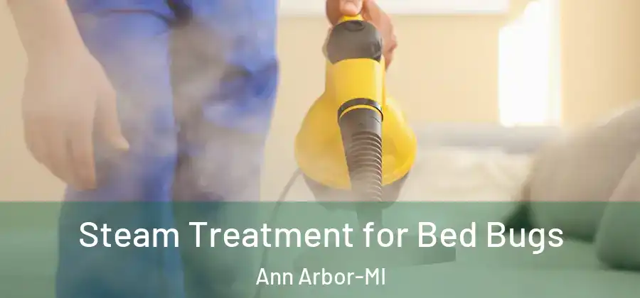  Steam Treatment for Bed Bugs Ann Arbor-MI