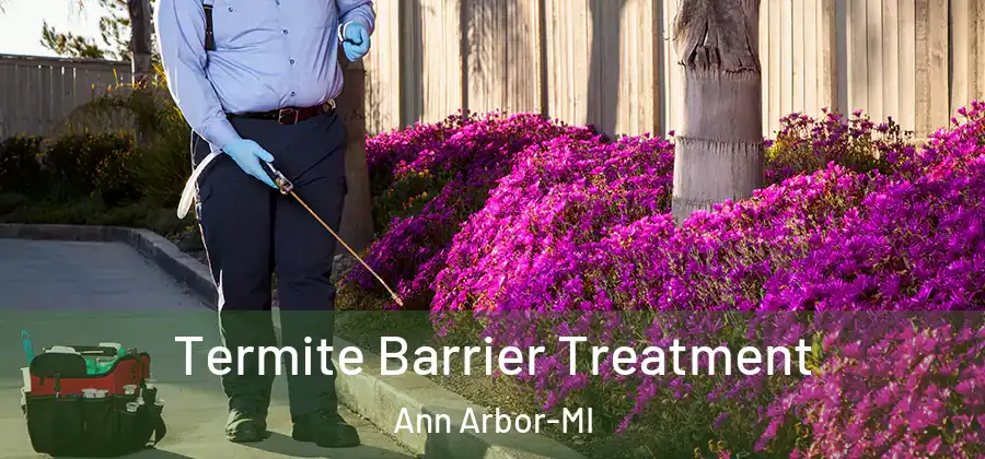  Termite Barrier Treatment Ann Arbor-MI