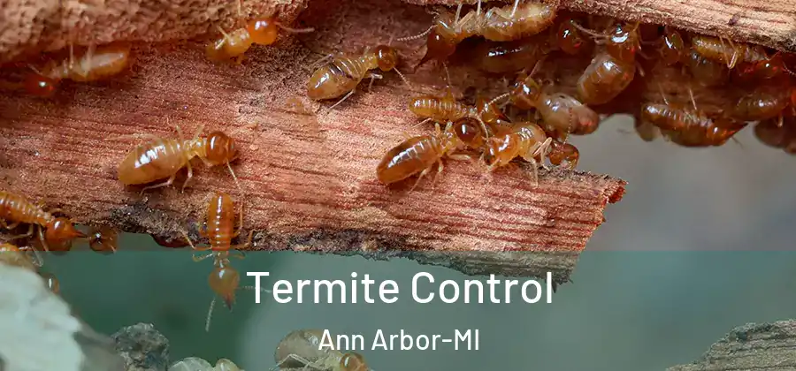  Termite Control Ann Arbor-MI