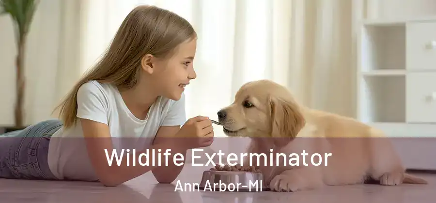 Wildlife Exterminator Ann Arbor-MI