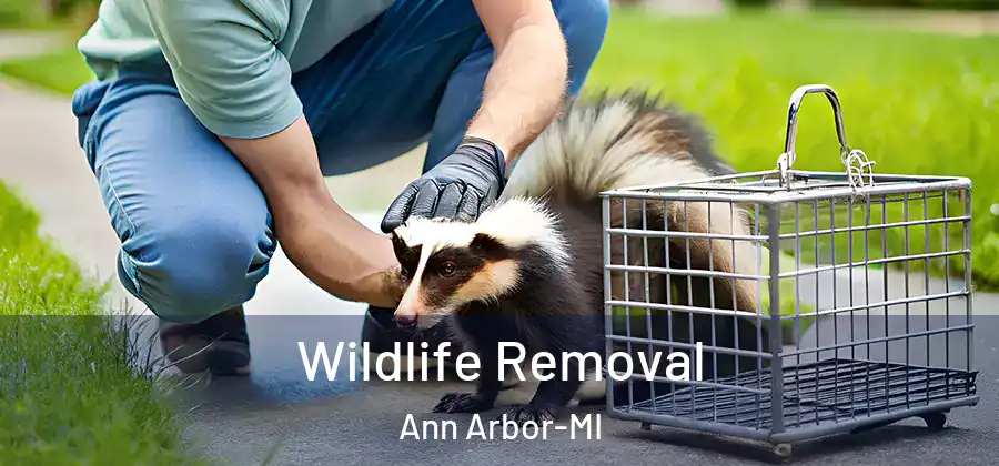 Wildlife Removal Ann Arbor-MI