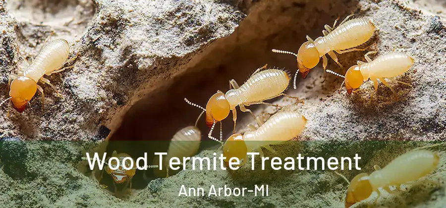  Wood Termite Treatment Ann Arbor-MI